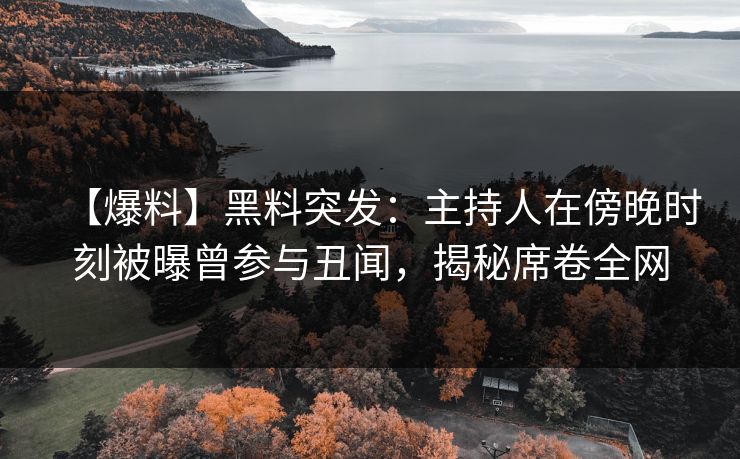 【爆料】黑料突发：主持人在傍晚时刻被曝曾参与丑闻，揭秘席卷全网