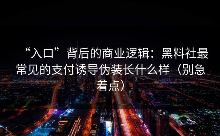 “入口”背后的商业逻辑：黑料社最常见的支付诱导伪装长什么样（别急着点）