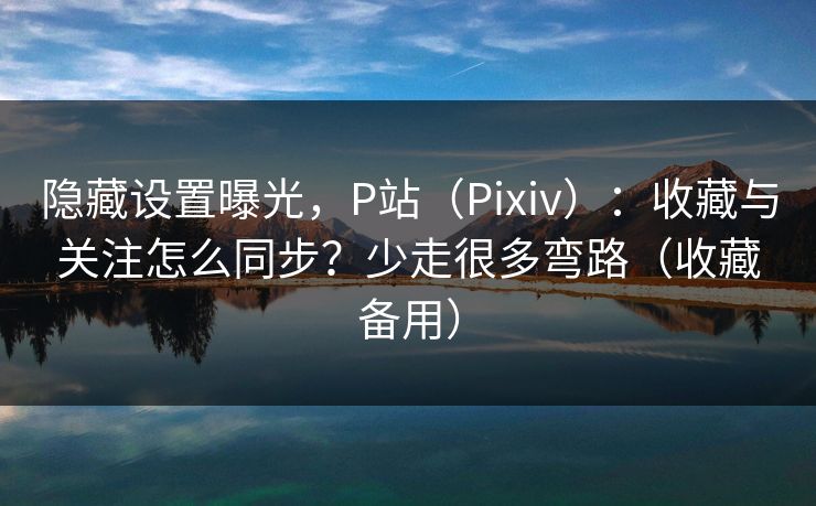 隐藏设置曝光，P站（Pixiv）：收藏与关注怎么同步？少走很多弯路（收藏备用）